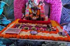 WhatsApp-Image-2024-10-24-at-4.38.11-PM07112024