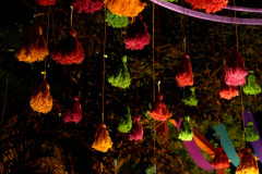 DSC0593813122023